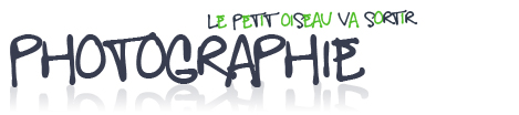 MXV.be Photographie MXV.be Photographie